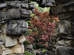 -南山植物园