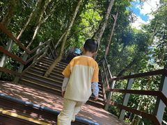 -野象谷景区