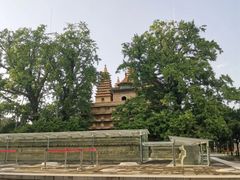 -北京石刻艺术博物馆(五塔寺)