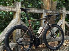 -SPECIALIZED闪电自行车(北苑路店)