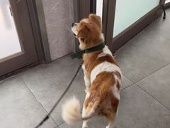 -瑞鹏宠物医院·骨外科·心肾科·肿瘤科(九亭店)