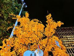 -成都银泰城