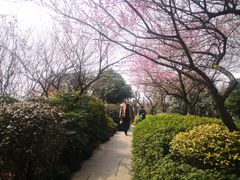 -杭州半山国家森林公园