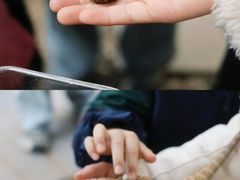 -艺年级儿童语言艺术中心(冉家坝爱融荟城店)