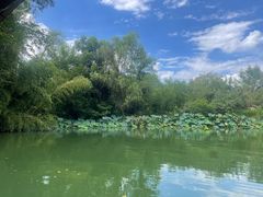 -西溪国家湿地公园