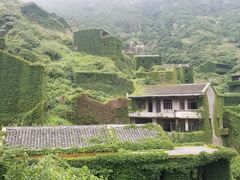 -枸杞岛