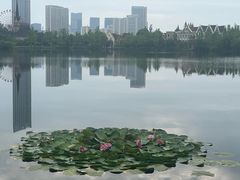 -成都南湖公园