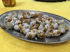 花螺-蚝专家(北滘店)