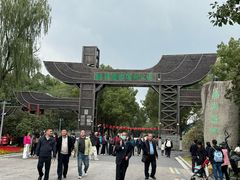 -溱湖国家湿地公园