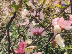 -宝钢特钢有限公司