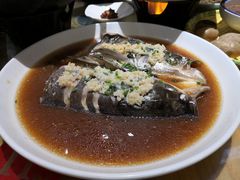 -巴人堂(女儿城店)