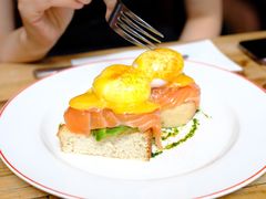 -Elephant Grounds(STARSTREET)