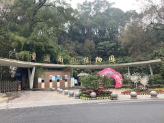 -南山植物园