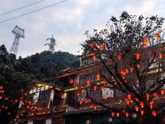 -巴倒烫陆派火锅山庄(南山总店)