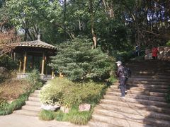 -杭州半山国家森林公园