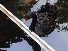 -湖鲜楼