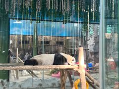 -栾川竹海野生动物园