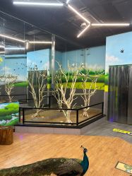-未来动物城主题公园(正弘城店)