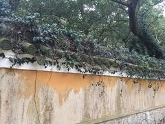 门面-普陀山风景名胜区-法雨禅寺
