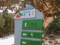 -北京鹫峰国家森林公园