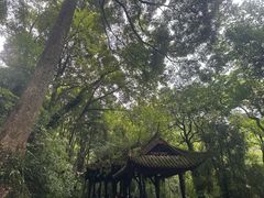 -青城山