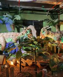 点击看大图 -恐龙探索乐园(磁器口店)