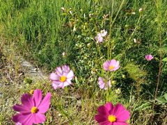 -长虫山生态公园风景林