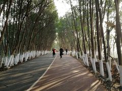 -艾溪湖湿地公园