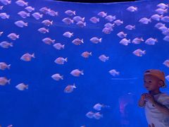 -沈阳海洋探索中心