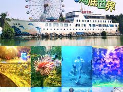 -左海海底世界
