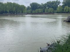 -中国农业博物馆