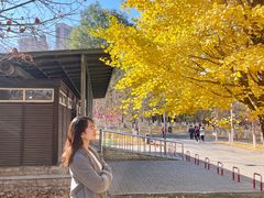 -长白岛森林公园