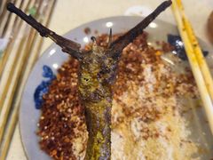 鸭舌-晓靖轩烧烤(沙河风情店)