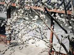 -堤角公园