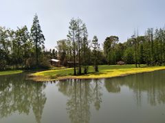 -桤木河湿地公园