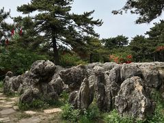 -王莽岭风景区