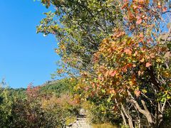 -香山公园