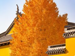 -上海青龙寺