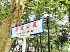-武汉大学-樱园