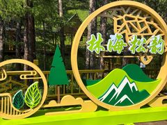 -莫尔道嘎国家森林公园