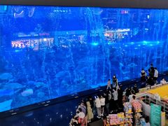 -成都浩海立方海洋公园