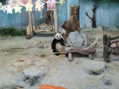 -海南热带野生动植物园