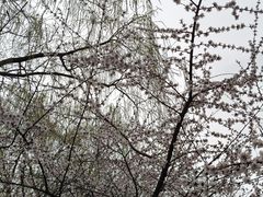 -河北省园博园