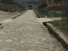 -黑河国家森林公园