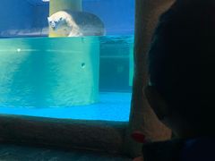 -大连圣亚海洋世界