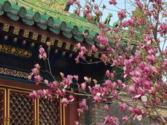 -恭王府博物馆
