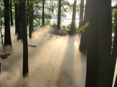 -东湖落雁景区