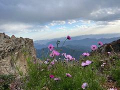 -白草畔自然风景区
