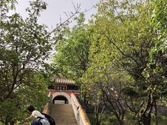 -妙峰山风景名胜区