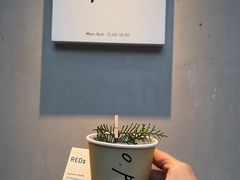 -O.P.S. CAFE